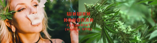 гашик Сясьстрой