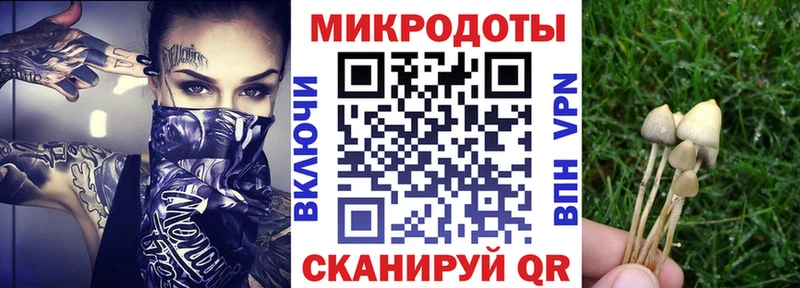 Псилоцибиновые грибы Magic Shrooms  Курганинск 