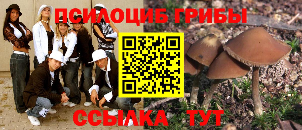 Псилоцибиновые грибы прущие грибы Курганинск