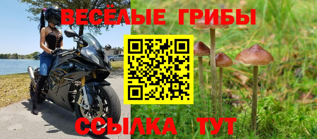 Галлюциногенные грибы Psilocybine cubensis  Псилоцибиновые грибы ЛСД  Курганинск  Вход с VPN 