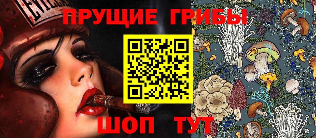 Псилоцибиновые грибы GOLDEN TEACHER Курганинск