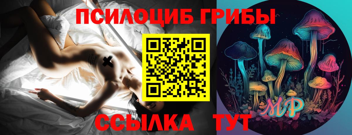 магазин  наркотиков  Курганинск  Псилоцибиновые грибы ЛСД 